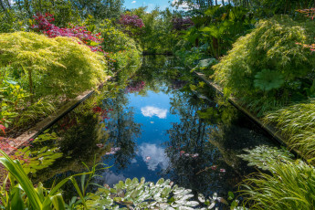 Картинка природа парк прудик