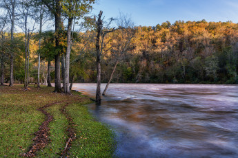 Картинка природа реки озера лес река