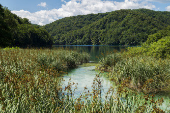 Картинка природа реки озера река лес