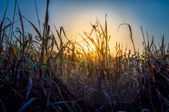 Картинка природа восходы закаты рассвет