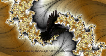 Картинка 3д+графика фракталы+ fractal цвета фон узор