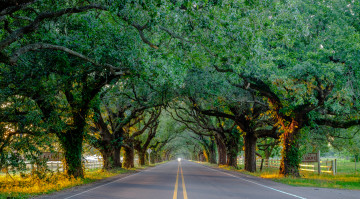 Картинка природа дороги простор