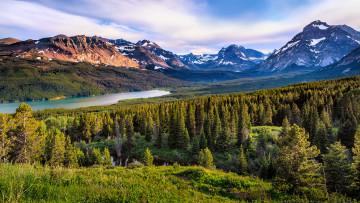 Картинка природа горы лес река