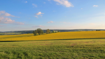 Картинка природа поля облака небо поле