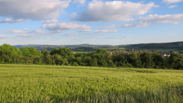 Картинка природа поля поле облака небо