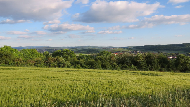 Обои картинки фото природа, поля, поле, облака, небо