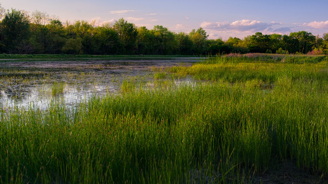 Обои картинки фото природа, реки, озера, река, лес