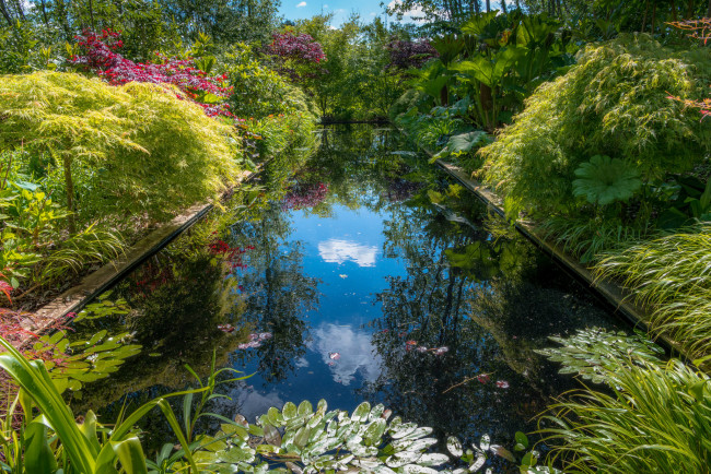 Обои картинки фото природа, парк, прудик