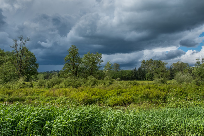 Обои картинки фото природа, пейзажи, простор