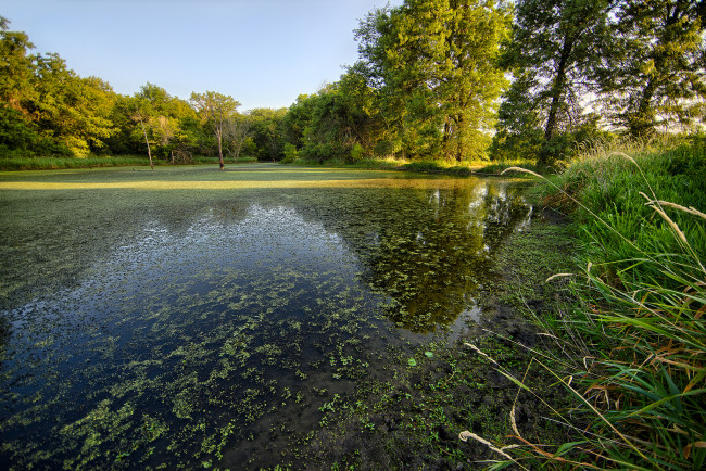 Обои картинки фото природа, реки, озера, лес, река