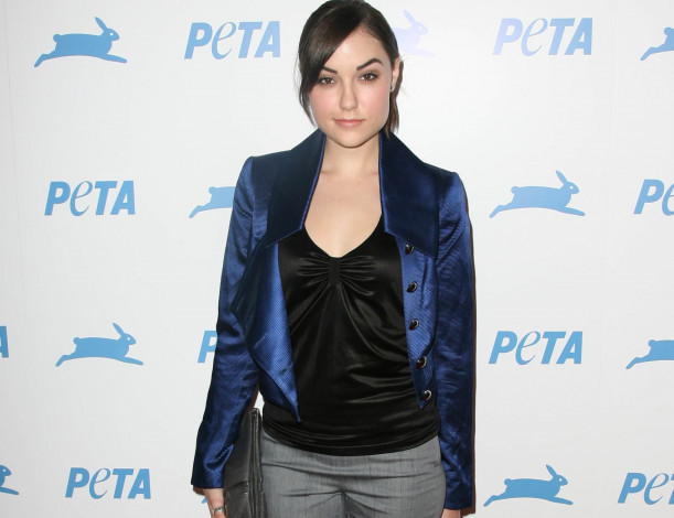 Обои картинки фото девушки, sasha grey , marina ann hantzis, сумка, брюки, топ, брюнетка, жакет