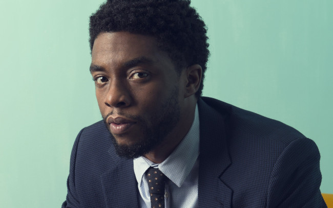 Обои картинки фото мужчины, chadwick boseman, бородка