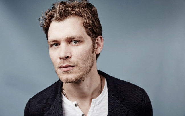 Обои картинки фото мужчины, joseph morgan, joseph, morgan