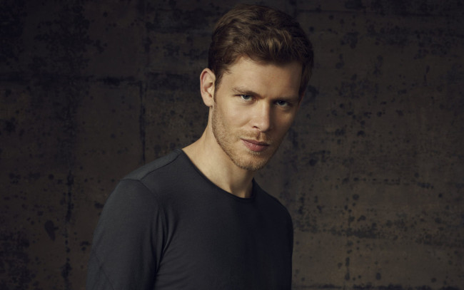 Обои картинки фото мужчины, joseph morgan, joseph, morgan