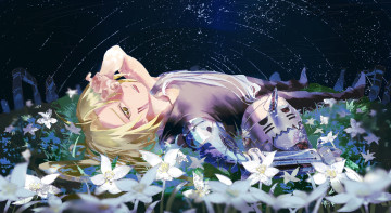 Картинка аниме fullmetal+alchemist стальной алхимик