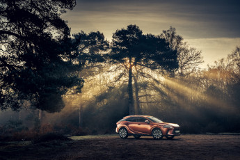 Картинка автомобили lexus