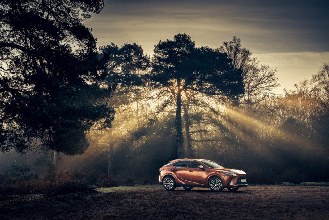 Обои картинки фото автомобили, lexus