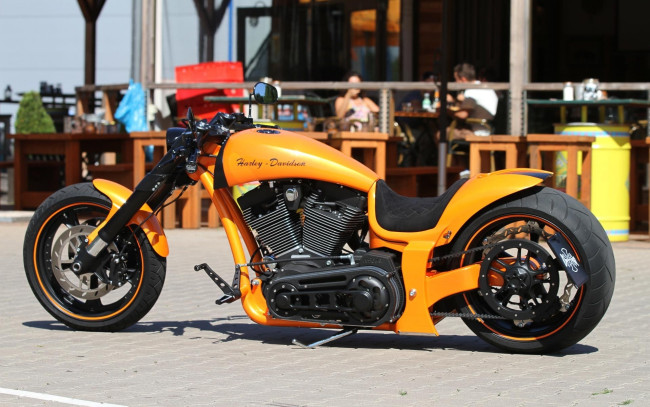 Обои картинки фото харлей, мотоциклы, harley-davidson, мотоцикл, байк, thunderbike, customs
