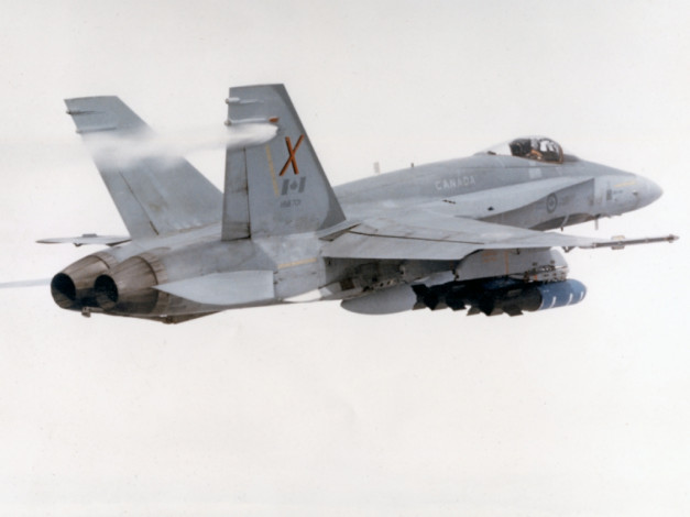 Обои картинки фото авиация, боевые, самолёты