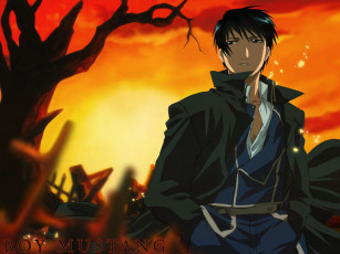 Картинка аниме fullmetal alchemist