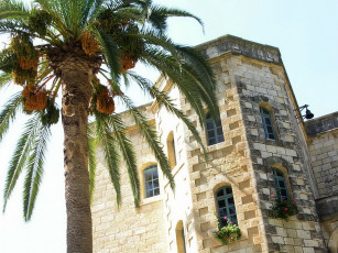 Картинка монастырь города католические соборы костелы аббатства