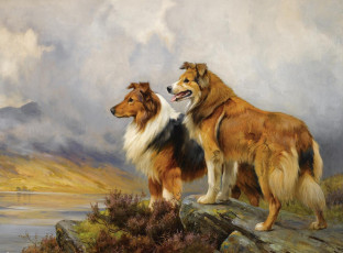 Картинка рисованные wright barker
