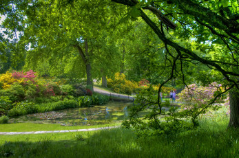 Картинка gardens of sofiero castle helsingborg sweden природа парк