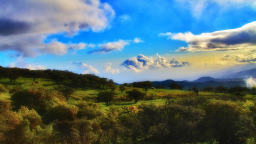 Картинка природа пейзажи горы деревья трава животные