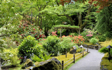 Картинка butchart gardens victoria канада природа парк