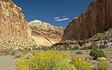 Картинка capitol reef national park utah сша природа горы