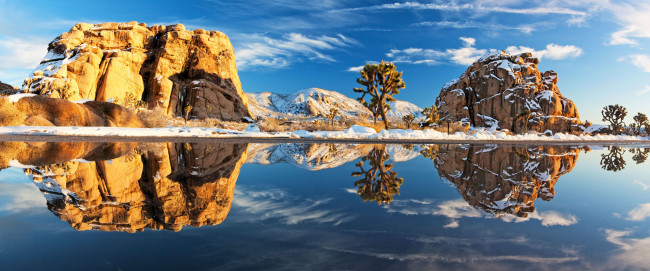 Обои картинки фото природа, реки, озера, камни, дерево, америка, озеро