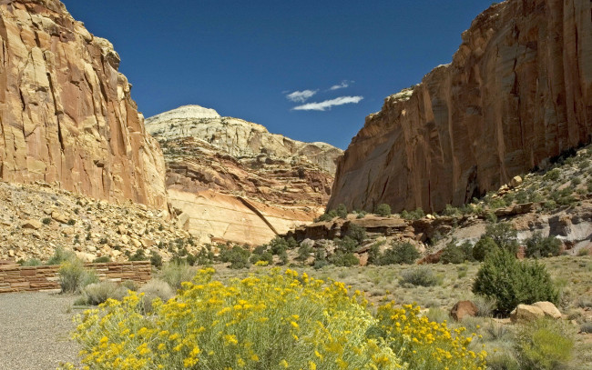 Обои картинки фото capitol, reef, national, park, utah, сша, природа, горы
