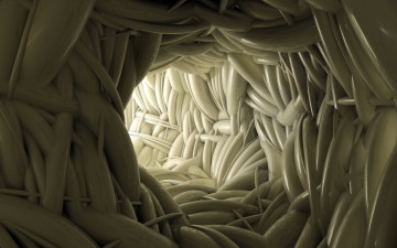 Картинка 3д графика fractal фракталы фрактал