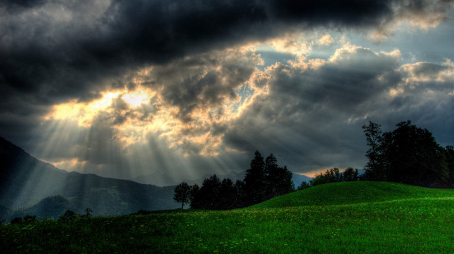 Обои картинки фото природа, луга, деревья, тучи, лучи, облака
