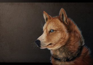 Картинка рисованные животные +собаки собака