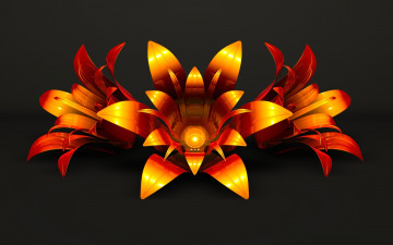 Картинка 3д+графика цветы+ flowers узор фон цвета