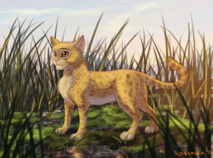 Картинка рисованное животные +коты взгляд фон кот