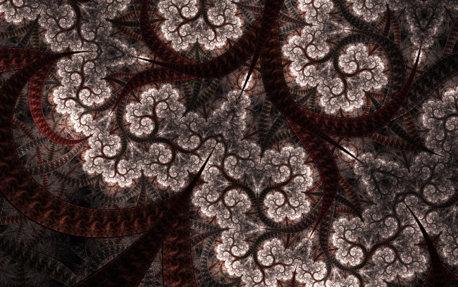 Обои картинки фото 3д графика, фракталы , fractal, цвета, фон, узор