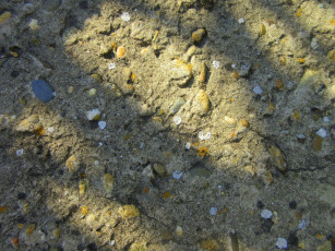 Картинка разное текстуры плита бетон