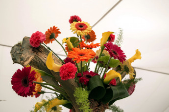 Картинка цветы букеты +композиции герберы гвоздики каллы