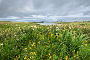 Картинка природа пейзажи простор