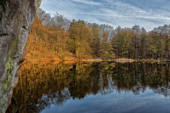 Картинка природа реки озера лес река