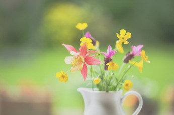 Картинка цветы букеты +композиции кувшин