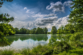 Картинка природа реки озера лес река