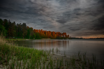 Картинка природа реки озера река лес