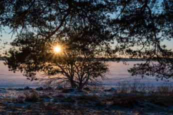 Картинка природа реки озера река лес