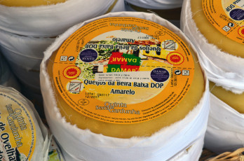 Картинка еда сырные+изделия сыр