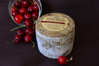 Картинка еда сырные+изделия сыр