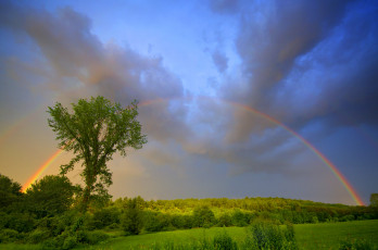 Картинка природа радуга простор