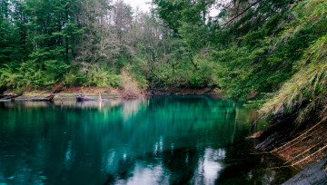 Картинка природа реки озера река лес